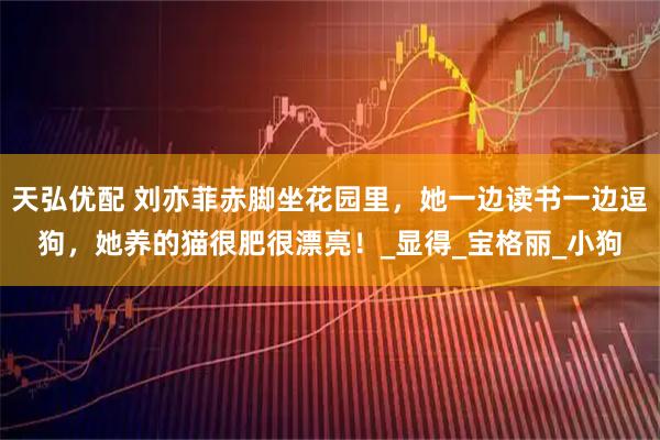 天弘优配 刘亦菲赤脚坐花园里，她一边读书一边逗狗，她养的猫很肥很漂亮！_显得_宝格丽_小狗