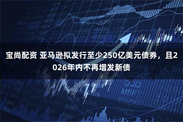 宝尚配资 亚马逊拟发行至少250亿美元债券,且2026年内不再增发新债