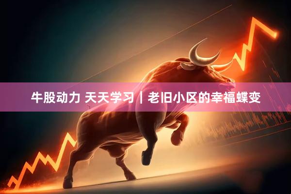 牛股动力 天天学习｜老旧小区的幸福蝶变
